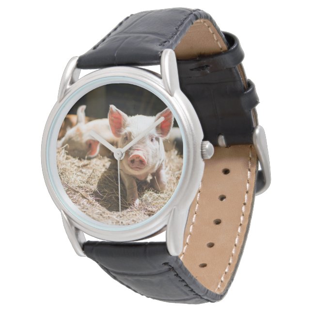 Montre Animaux de bébés cutest | Piglet bébé mignon (Incliné)
