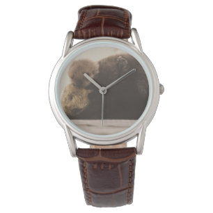 Montre Animaux de bébés cutest Pompe Otter nouveau-né