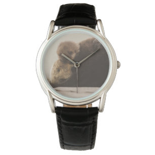 Montre Animaux de bébés cutest   Pompe Otter nouveau-né