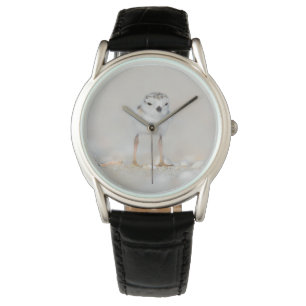 Montre Animaux de bébés cutest   Poussette de tuyauterie