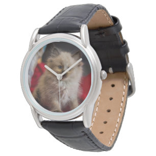 Montre Animaux de bébés cutest Siamese Kitten