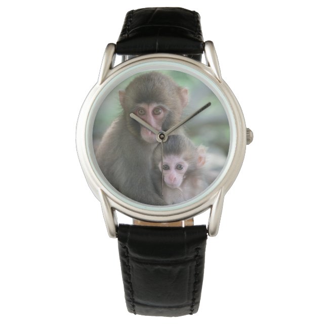 Montre Animaux de bébés cutest | Singes japonais (devant)