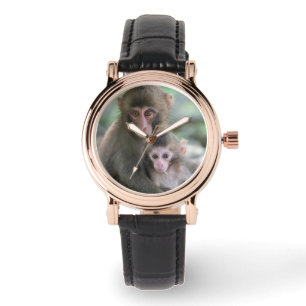 Montre Animaux de bébés cutest   Singes japonais