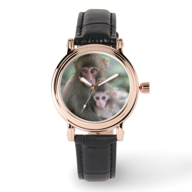 Montre Animaux de bébés cutest | Singes japonais (Recto)