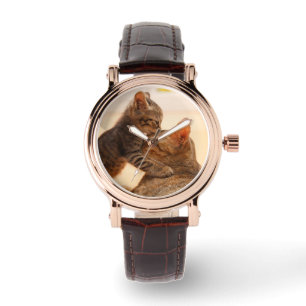 Montre Animaux de bébés cutest Tabby Kitten Kiss