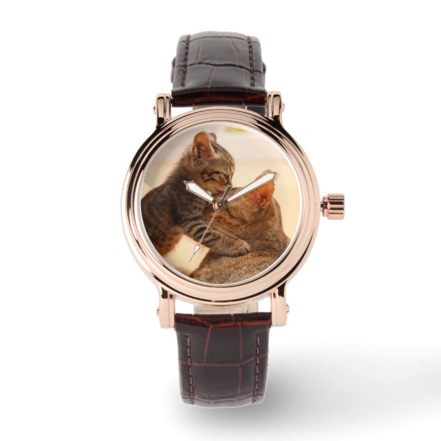 Montre Animaux de bébés cutest | Tabby Kitten Kiss (Recto)