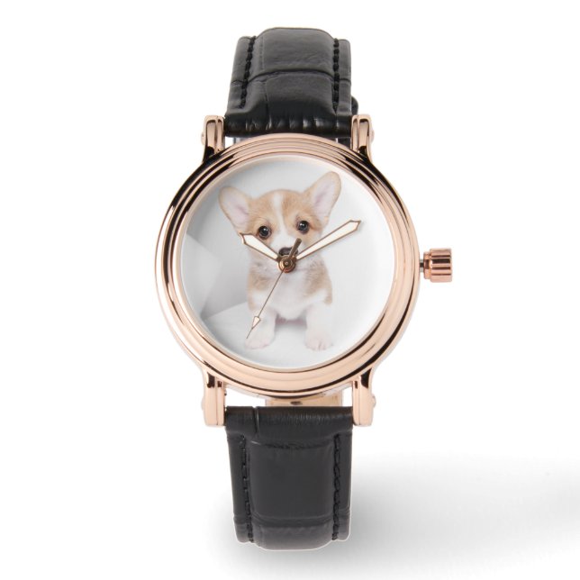 Montre Animaux de bébés cutest | Tiny Corgi (Recto)