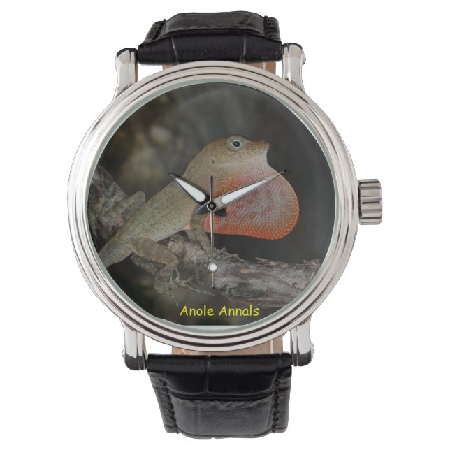 Montre Anole Wristwatch : Anolis marcanoi (devant)