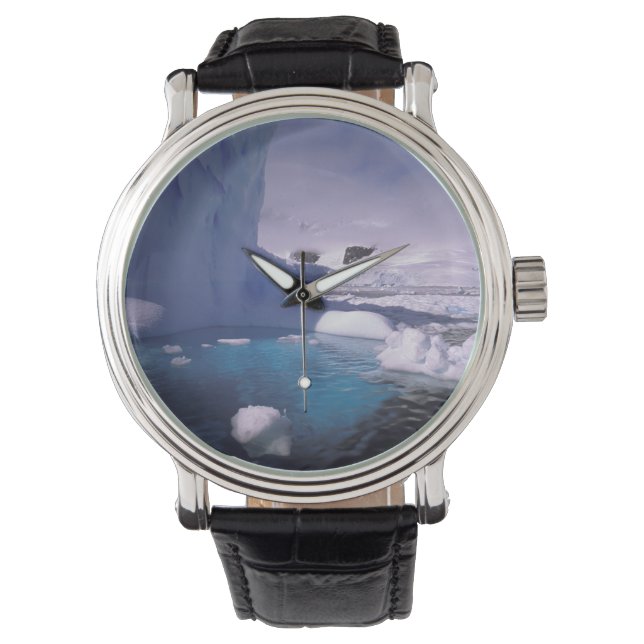 Montre Antarctique. Glaces antarctiques 2 (devant)
