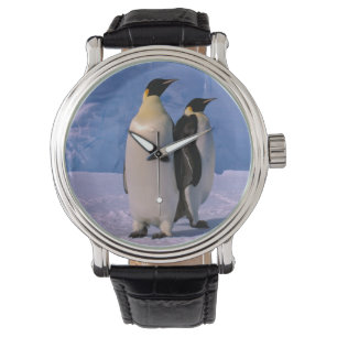 Montre Antarctique, territoire australien antarctique, 7