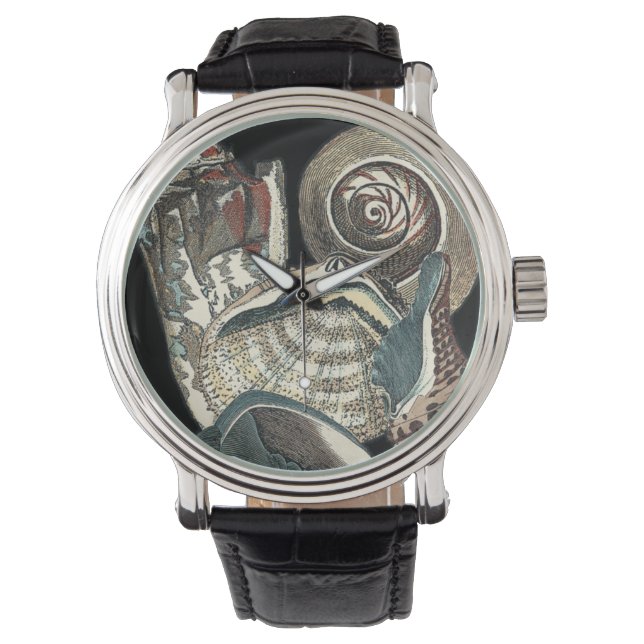Montre Anthologie des coquillages (devant)