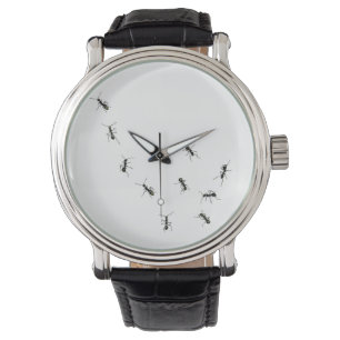 Montre Ants (homonymie)