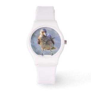 Montre Aquarelle Jackdaw