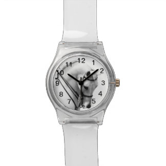 Montre Arabe majestueuse de cheval