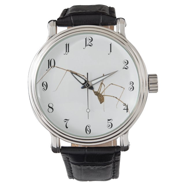 Montre Araignée (devant)