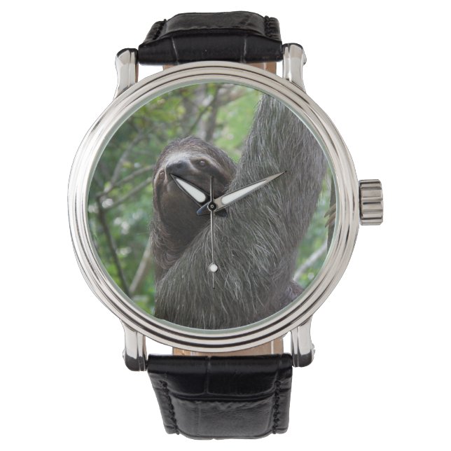Montre Arborescence des Escalades de fentes (devant)