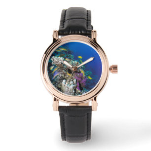 Montre Around Small Coral