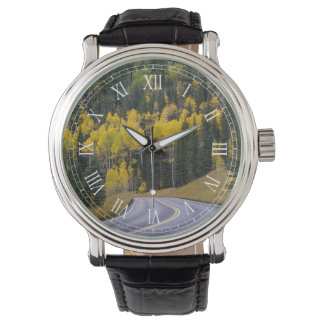 Montre Aspen dans le nord de l'Arizona