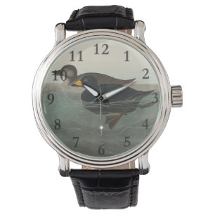 Montre Audubon American Scoter Duck Classic