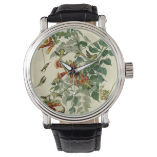 Montre Audubon Throsé de colibri