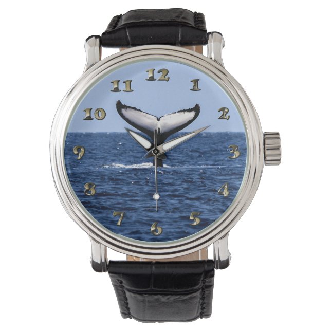 Montre Baleine à bosse en océan (devant)
