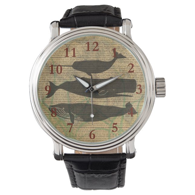 Montre Baleine antique Vie marine (devant)