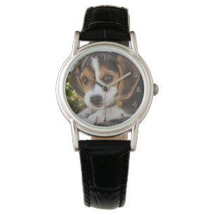 Montre Beagle Chien Chien Chien Chien Chien Chien Chien C