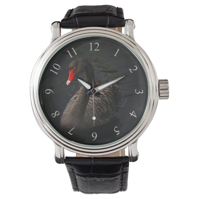Montre Beau cygne noir avec un bec rouge vif (devant)