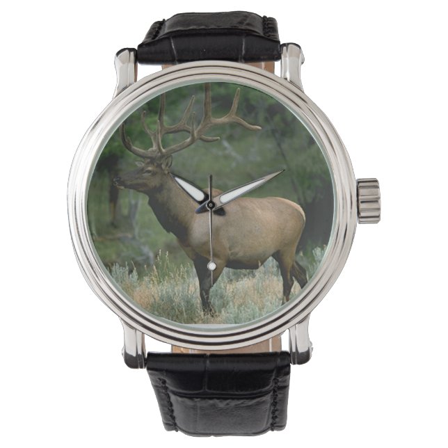 Montre Beau Elk (devant)