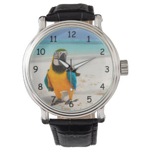 Montre Beau perroquet coloré sur le sable