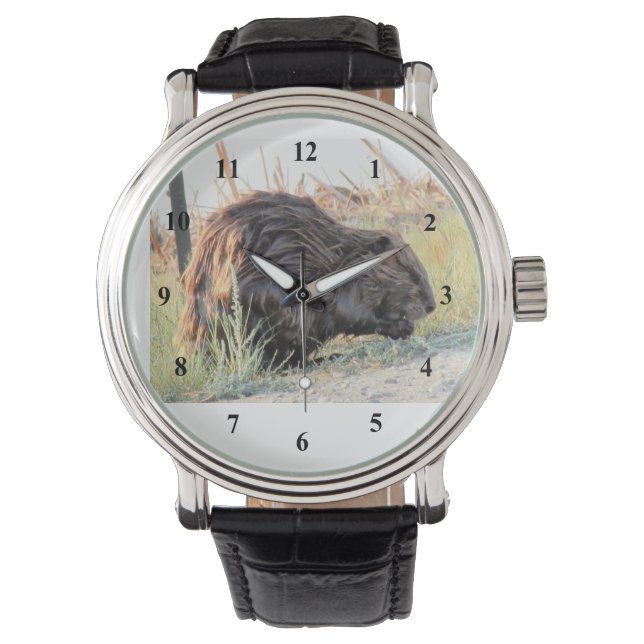 Montre Beaver (devant)