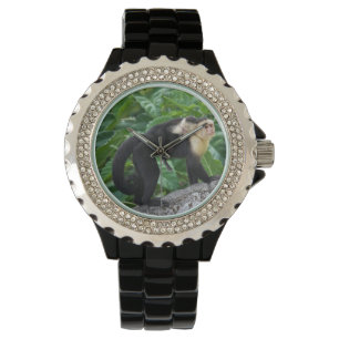 Montre Bébé de transport de singe adulte de capucin sur