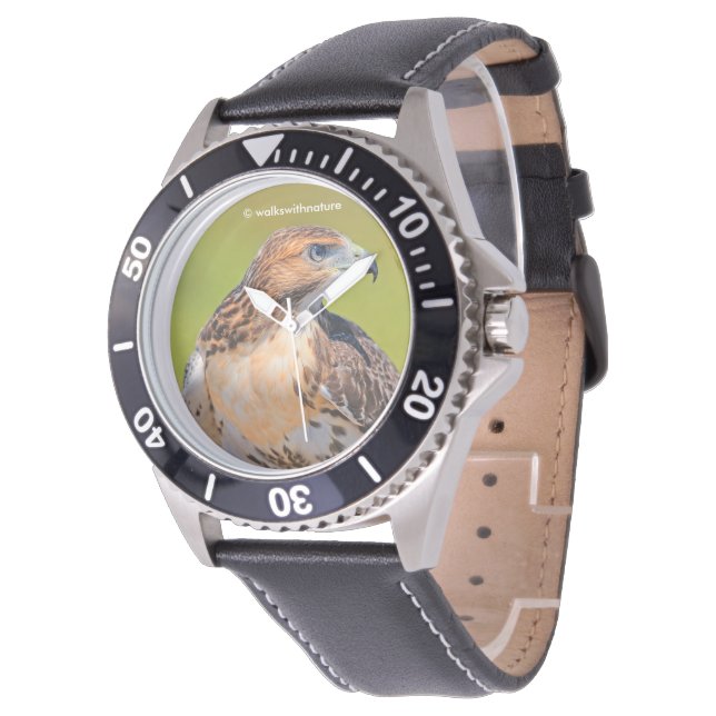 Montre Belle Buse à queue rousse (Incliné)