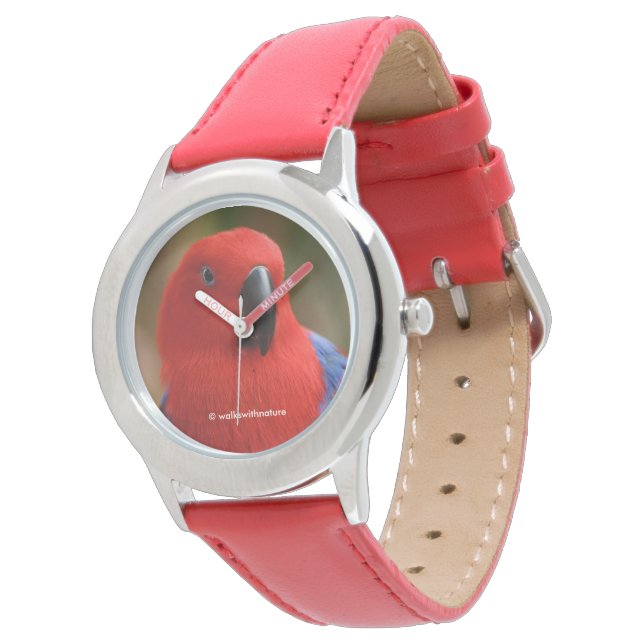 Montre Belle "Dame en rouge" Eclectus Parrot (Incliné)