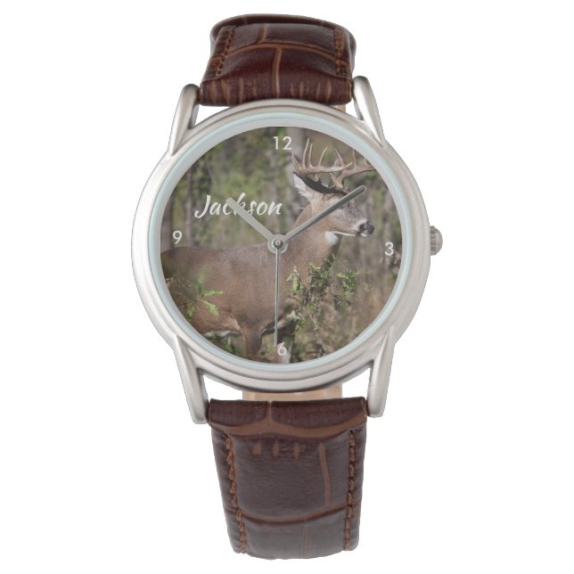 Montre Belle Mule Deer avec énorme rack (devant)
