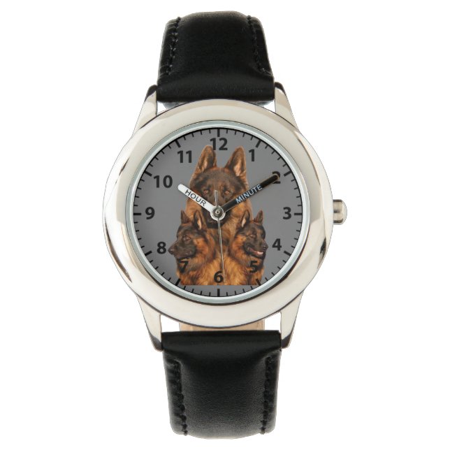 Montre berger allemand  (devant)