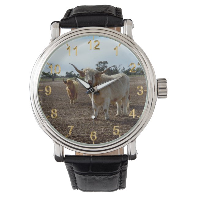 Montre Bétail sur la perte : Highland Cows Blé Heist (devant)