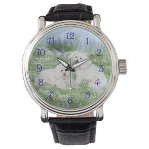 Montre Bichon Frise Bleuets