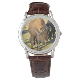 Montre Bison dans le Colorado