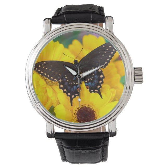 Montre Black Swallowtail (devant)