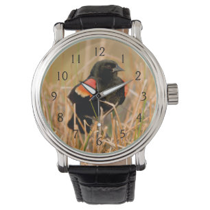 Montre Blackbird mal chanté