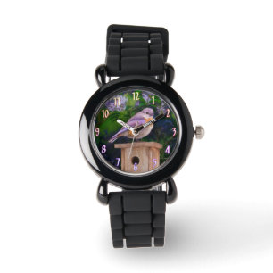 Montre Bleuet de l'Est en neige - Photo originale