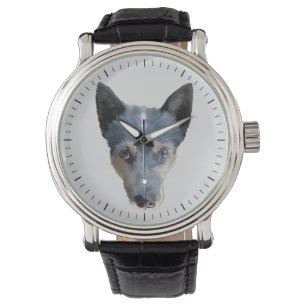 Montre Blue Heeler / Australian Cattle Dog
