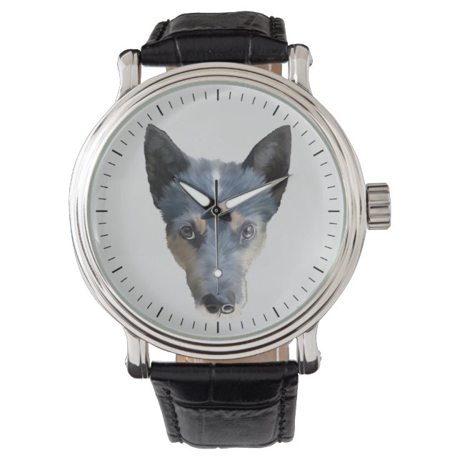 Montre Blue Heeler / Australian Cattle Dog (devant)