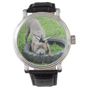 Montre Blue Staffordshire Bull Terrier Temps de jeu