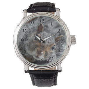 Montre Bonjour Miss écureuil