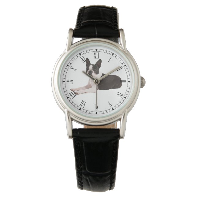 Montre Boston Terrier (devant)