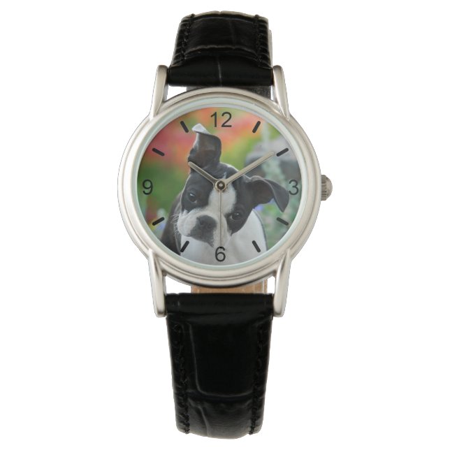 Montre Boston Terrier Chien Cute Chiot Tête de chiot — pl (devant)