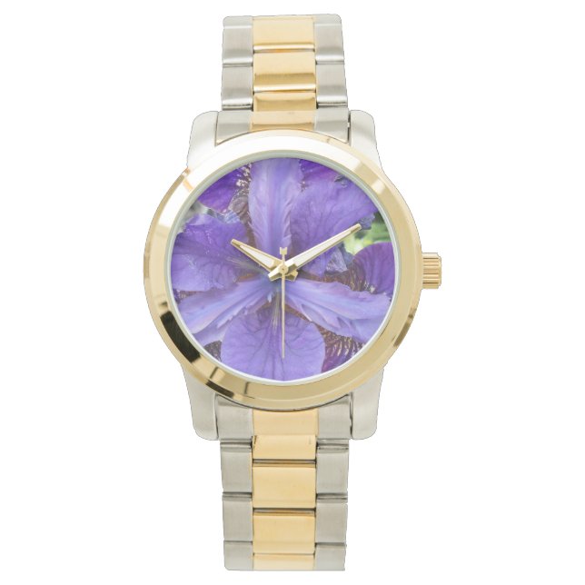 Montre Brandeis (devant)