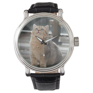 Montre Brise-air britannique, Chat, Animal de compagnie
